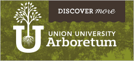 Union University Arboretum