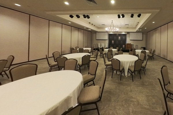 Middle of Salon 2