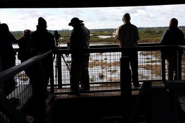 students observing wetlands