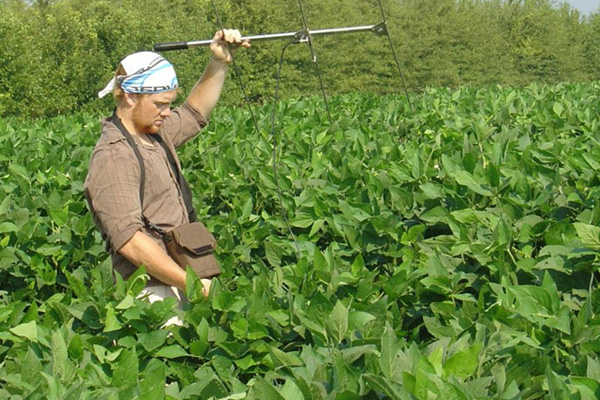 student in field collecting data
