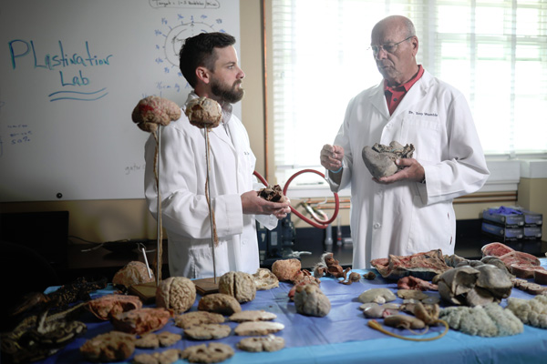 Plastination Lab