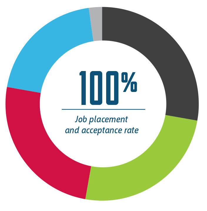 pie chart for graduate careers from 2015-2019