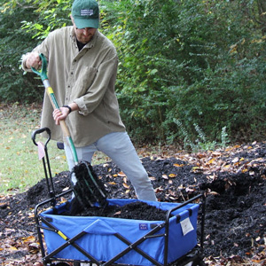 Phi Alpha Theta member Luke Sower loads a wagon with mulch at Liberty Garden Park on October 29, 2019.