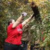 Phi Alpha Theta member Jessica Barton (front, wearing red T-shirt), with the help of workers from the City of Jackson, throws a tree log onto the back of a dump truck at the History Department/Phi Alpha Theta community service project on November 7, 2017. Photo by Kristi Woody