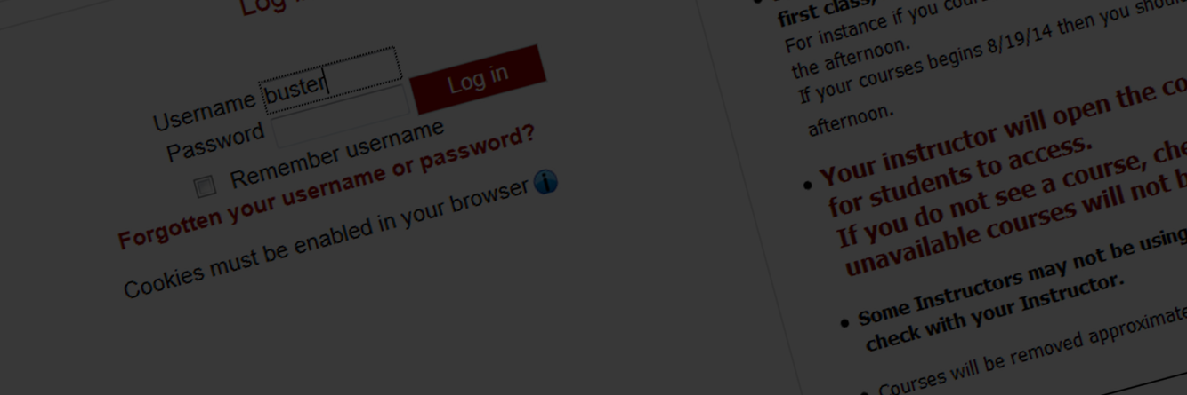 Learn how to Protect Your Data