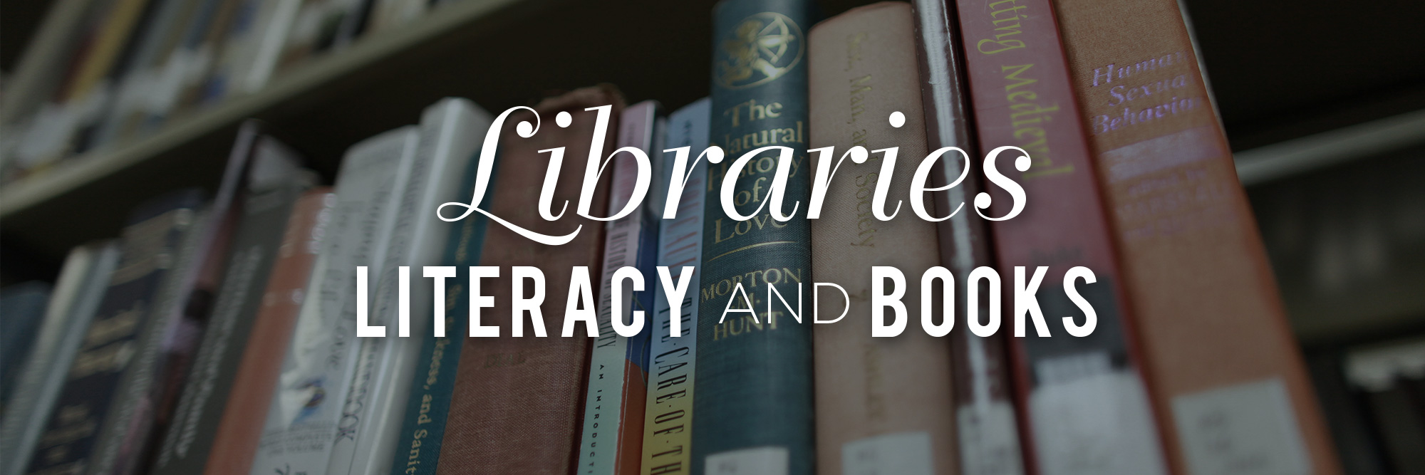 Libraries, Literacy and Books