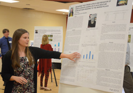 Sarah Porter presents her research at the third annual Fall Poster Session Nov. 19. (Photo by Anne Richoux)