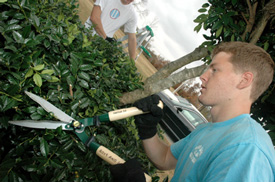 Junior Eric Smith prunes shrubbery outside the Boys and Girls Club of Jackson during last year's Day of Remembrance. This year the event, now called "Campus and Community: A Day of Remembrance and Service," will take place Nov. 8. (Photo by Brad Moore)