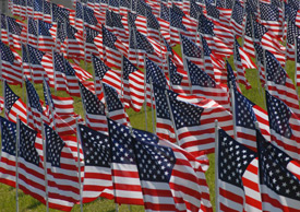 The Jackson Exchange Club has placed 1,500 American flags on Union's south lawn to represent the victims of child abuse. (Photo by Morris Abernathy)