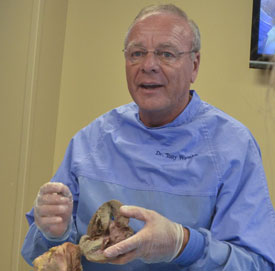 Robert Wamble teaches in both the biology department and the School of Nursing. (Photo by Morris Abernathy) 