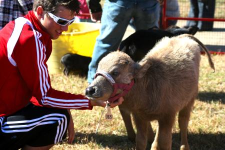 J. Landham, freshman, pets one of the animals at the petting zoo.  The petting zoo was one of the many fun things to do at Arts in the Park. - Photo by Kristi McMurry Woody