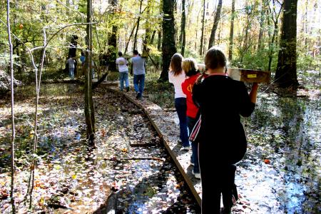 Students from Union team together to transport long cedar planks to a bog bridge construction area at Pinson Mounds as part of the Day of Remembrance.  - Photo by Kristi McMurry Woody