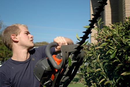 Justin Boggs, sophomore nursing major, trims a bush at the Hartland Place apartments during Campus and Community Day. - Photo by Beth Spain