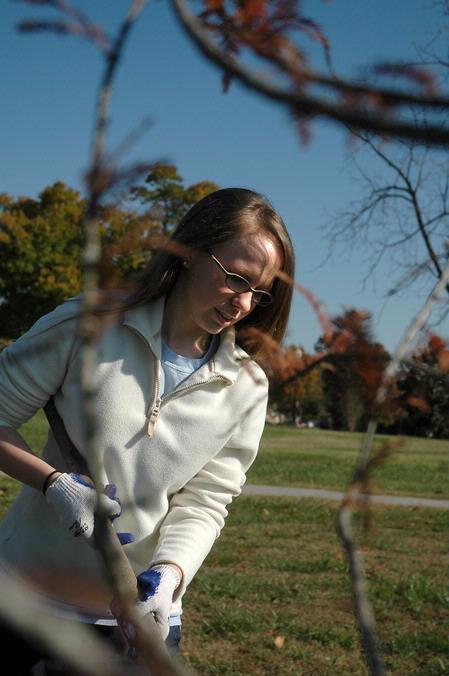 Sarah Stinson, senior English major, lays mulch around trees at Liberty Park during Campus and Community Day. - Photo by Beth Spain