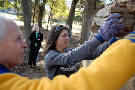 Caitlin Roach, sophomore history major, and Stephen Carls, history department chair, help build a small log cabin for Green Frog Village on Campus and Community Day.  - Photo by Kristi McMurry Woody