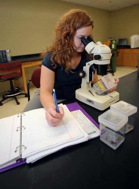 Biology student conducting an experiment. - Photo by Morris Abernathy