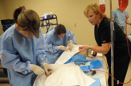 Nursing students work on simulations in Providence Hall with Molly Wright, assistant professor of nursing. - Photo by Morris Abernathy