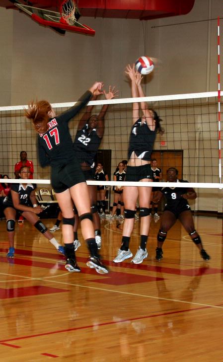 Ana Sims hits the ball over the net against Martin Methodist. - Photo by Deanna Santangelo
