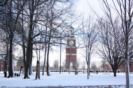 Union's Miller Tower peaks through the trees on a cold winter day while the campus is covered with a beautiful blanket of snow. - Photo by Ebbie Davis