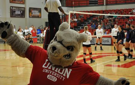 Buster hanging out at the Union volleyball match. - Photo by Steven Aldridge