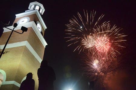 Students watch fireworks at Union Night during Homecoming 2011. - Photo by Zac Calvert
