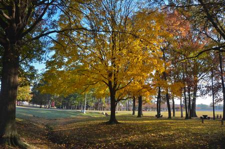 Fall colors greeted Homecoming guests as they arrived on campus Saturday morning. - Photo by Morris Abernathy