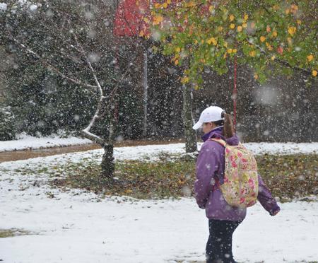 Winter strikes the Union campus as November comes to an end. Students make their way to class while the snow falls. - Photo by Morris Abernathy