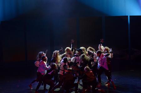 Zeta Tau Alpha performs in the 15th annual Variety Show. - Photo by Anne Richoux