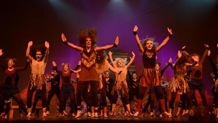 The women of Chi Omega perform at the 15th Annual Variety show. - Photo by Ebbie Davis