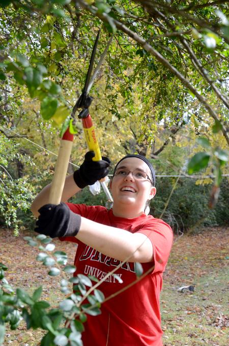 Meghan Aranda, freshman mathematics major, chops down stray  branches while working for Campus and Community Day.  - Photo by Ebbie Davis