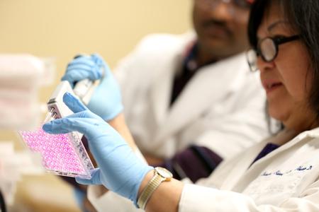 Lunawati Bennett, associate professor of pharmaceutical sciences, works with a student in the lab. - Photo by Kristi McMurry Woody