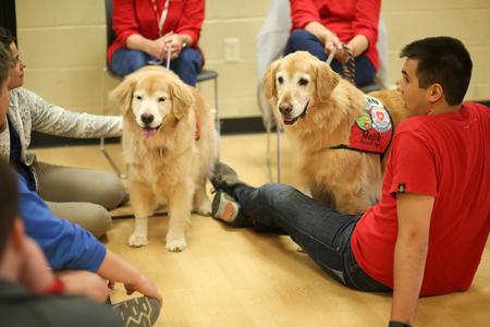 Students enjoy petting therapy dogs during Senior Week.  - Photo by Kristi McMurry Woody