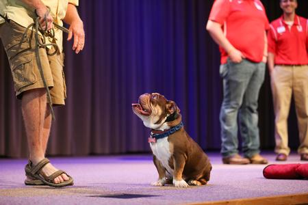Buster performs some tricks for new students during Welcome Week. He took a break from training to come visit.  - Photo by Kristi McMurry Woody