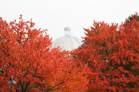 The leaves around the fountain are colorful during the fall season.  - Photo by Kristi McMurry Woody