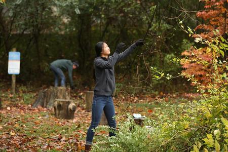 Katherine Cheshire, public relations major, helps clear brush at Liberty Garden Park & Arboretum during Campus & Community Day.  - Photo by Kristi McMurry Woody