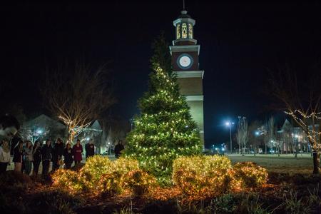 Student Government Association decorated the tree near the Great Lawn for Christmas.  - Photo by Kristi McMurry Woody
