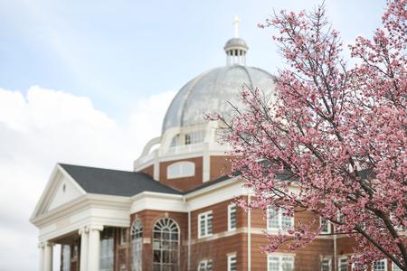 Trees begin to bloom outside The Logos. - Photo by Kristi McMurry Woody