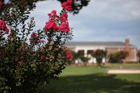 Union University in Jackson, Tennessee. - Photo by Kristi McMurry Woody