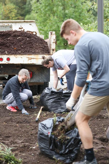 Staff in undergraduate admissions work in a flower bed on campus during Campus and Community Day. - Photo by Kristi McMurry Woody