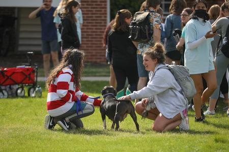 Student Activities Council hosts a puppy party for students in the Grace Quad. - Photo by Kristi McMurry Woody