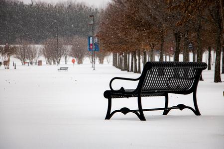 Snow falls on the Great Lawn. - Photo by Joey Echeverria
