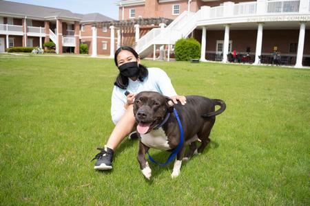 Students pet dogs during SAC's Backyard Bash event. - Photo by Naomi Mengel