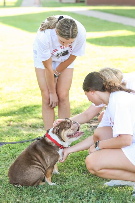 Students pet Buster on Move-in Day. - Photo by Kristi McMurry Woody