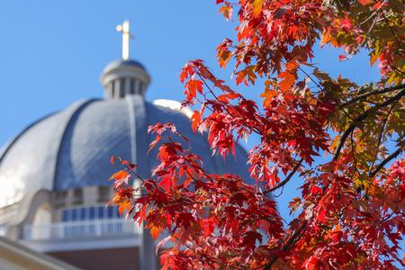 The trees around campus look beautiful next to the Logos during the fall. - Photo by Eli Creasy