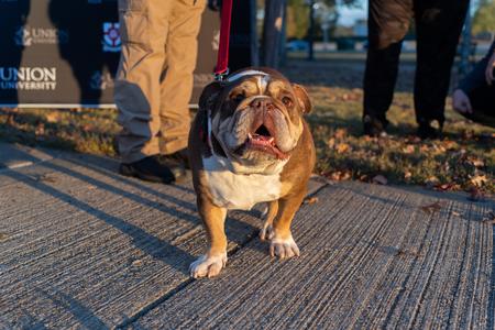 Buster (the second) is honored for his service as the university's mascot at his retirement party during Homecoming 2023. - Photo by Lauren Steed