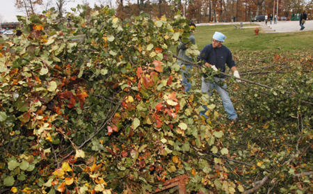 Groups of students traveled all over the campus to collect the limbs of tornado-downed trees.  Pictured here collecting limbs behind the BAC is Jason Hamlin, a senior from Jackson. - Photo by Jim Veneman