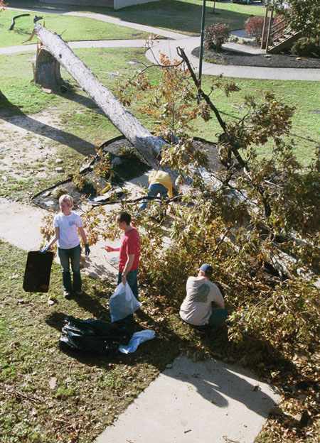 The entire Union community banded together to clean-up the damage done to the campus. This tree, located directly behind the McAfee Commons, was one of the many large trees toppled by the tornado. - Photo by Justin Veneman