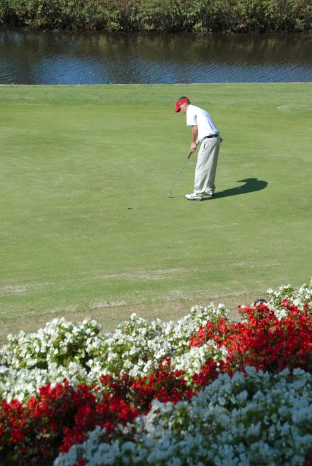 Mickey Armstrong watches the track of one of his puts during the Union Invitational at Falcon Ridge Golf Club. - Photo by Morris Abernathy