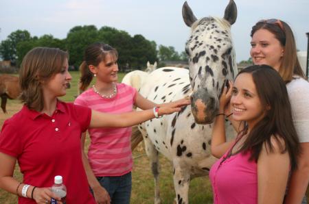 Rising Seniors Chelse Lampley, Sarah Lechman, Jessica Pikowski and Jordan McGraff pet one of the horses that belong to the Abshers. - Photo by Stephanie Schroeder