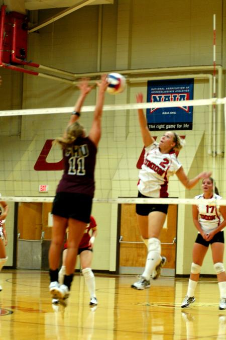 Junior CJ Neathamer tries for the kill against a defender. - Photo by Matt Elia
